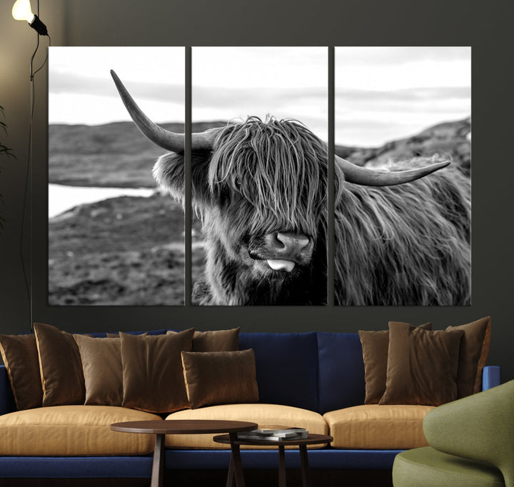 Highland Cows on the Coast of the Isle of HarrisBig Horn Canvas PrintOuter HebridesScotland