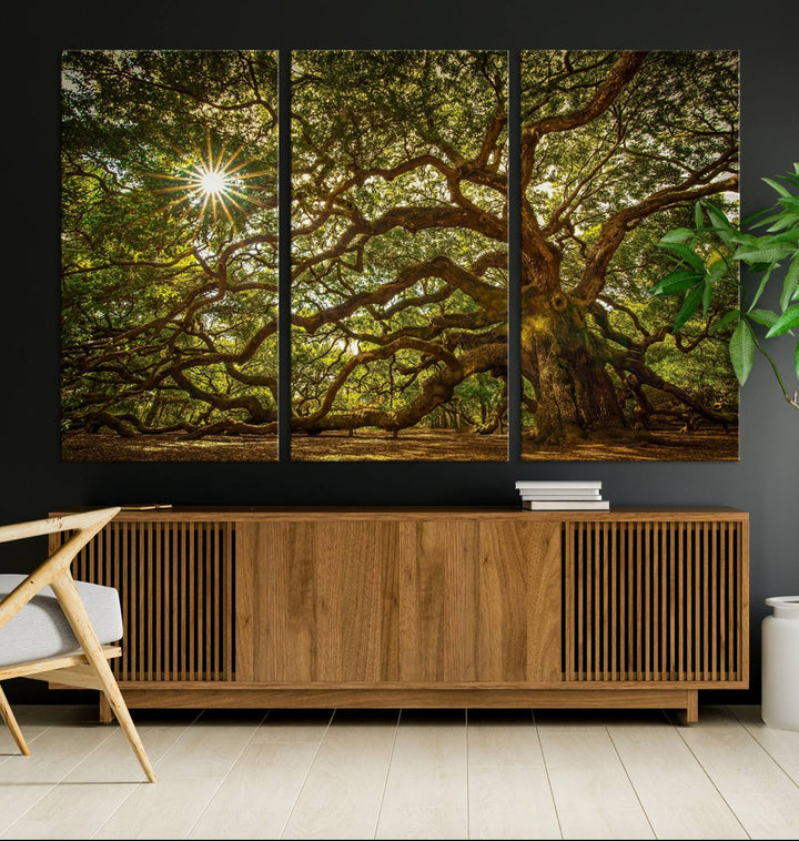 Huge Angel Oak Tree Wall Art Canvas Print, Oak Canvas Wall Decor Nature Fine Art Print Set of 3 Framed