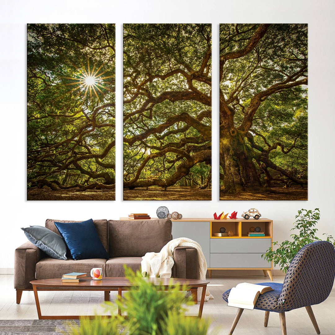 Huge Angel Oak Tree Wall Art Canvas Print, Oak Canvas Wall Decor Nature Fine Art Print Set of 3 Framed