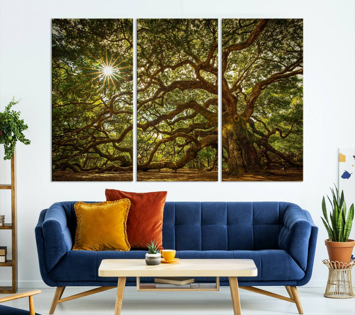 Huge Angel Oak Tree Wall Art Canvas Print, Oak Canvas Wall Decor Nature Fine Art Print Set of 3 Framed