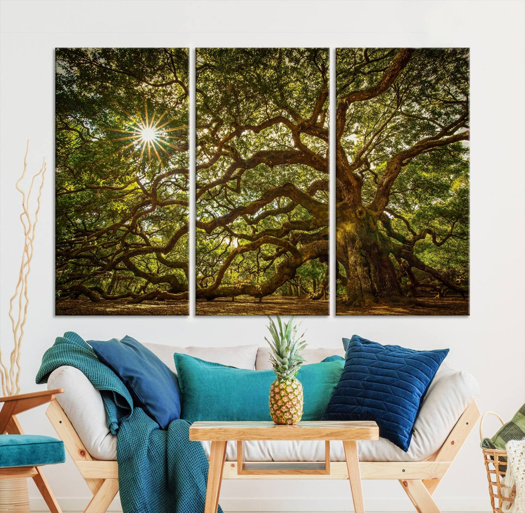 Huge Angel Oak Tree Wall Art Canvas Print, Oak Canvas Wall Decor Nature Fine Art Print Set of 3 Framed