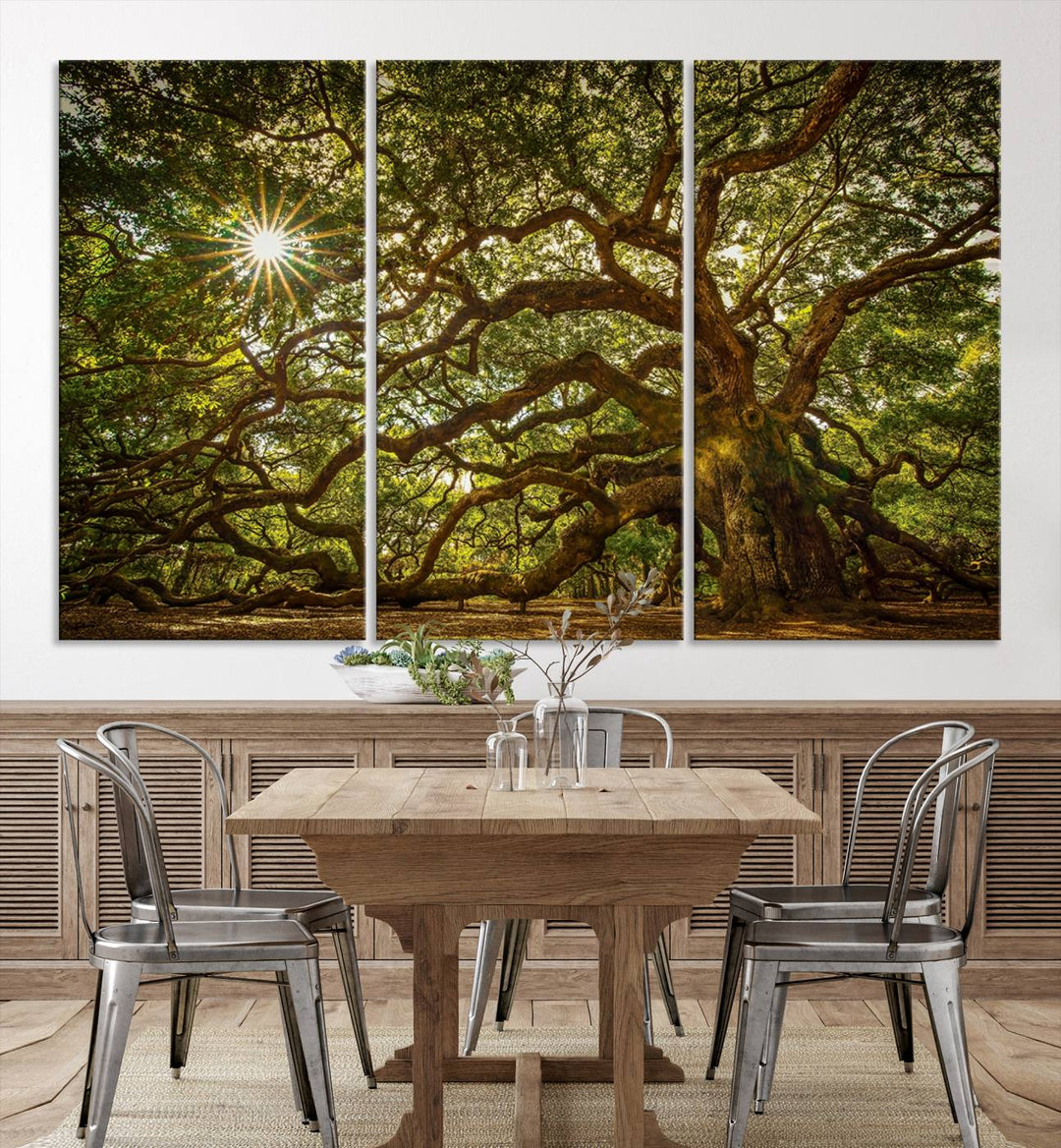 Huge Angel Oak Tree Wall Art Canvas Print, Oak Canvas Wall Decor Nature Fine Art Print Set of 3 Framed