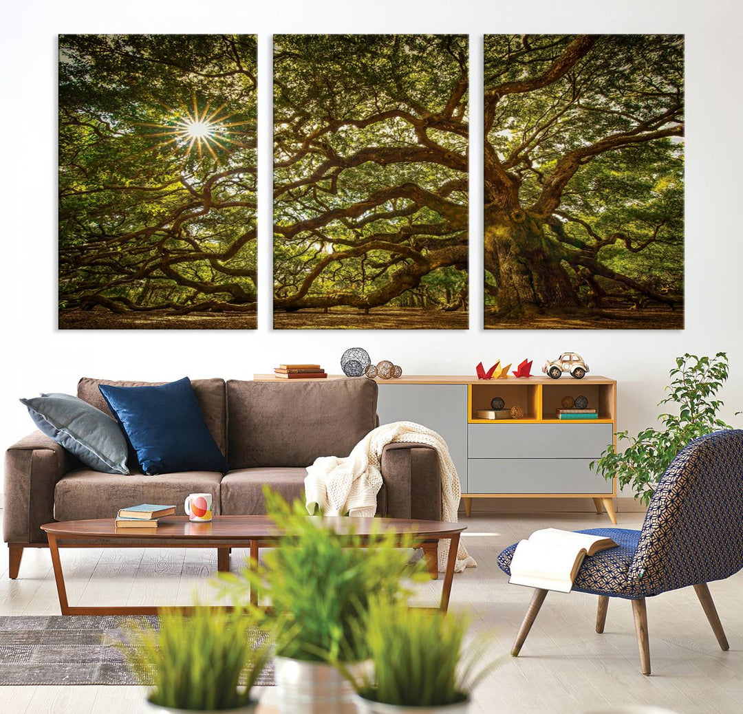 Huge Angel Oak Tree Wall Art Canvas Print, Oak Canvas Wall Decor Nature Fine Art Print Set of 3 Framed