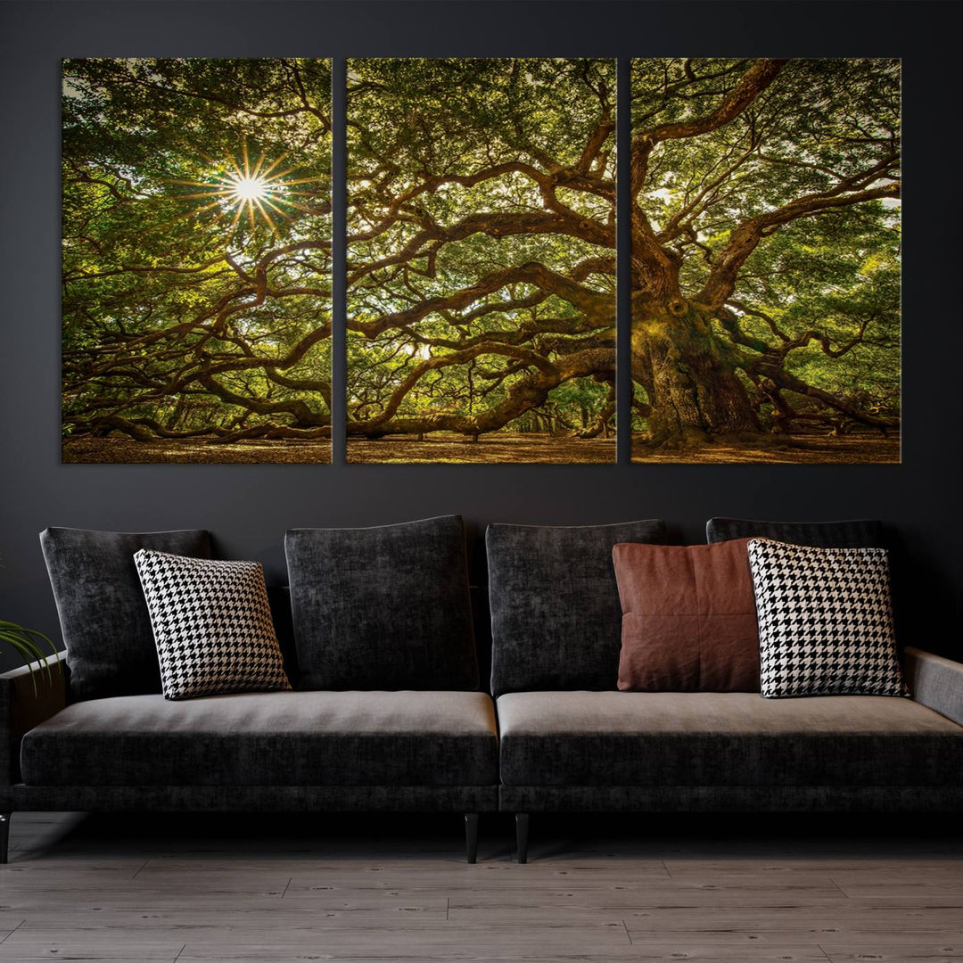 Huge Angel Oak Tree Wall Art Canvas Print, Oak Canvas Wall Decor Nature Fine Art Print Set of 3 Framed