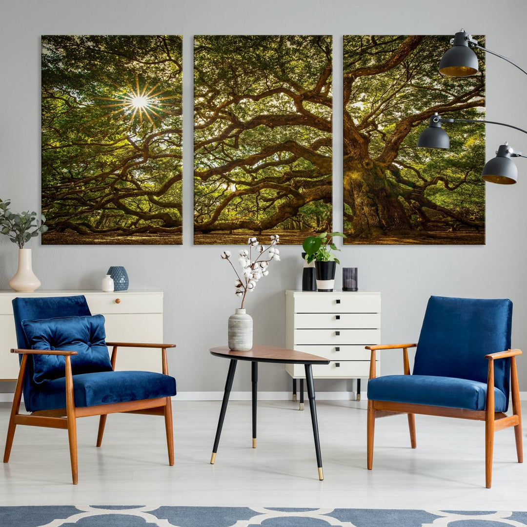 Huge Angel Oak Tree Wall Art Canvas Print, Oak Canvas Wall Decor Nature Fine Art Print Set of 3 Framed