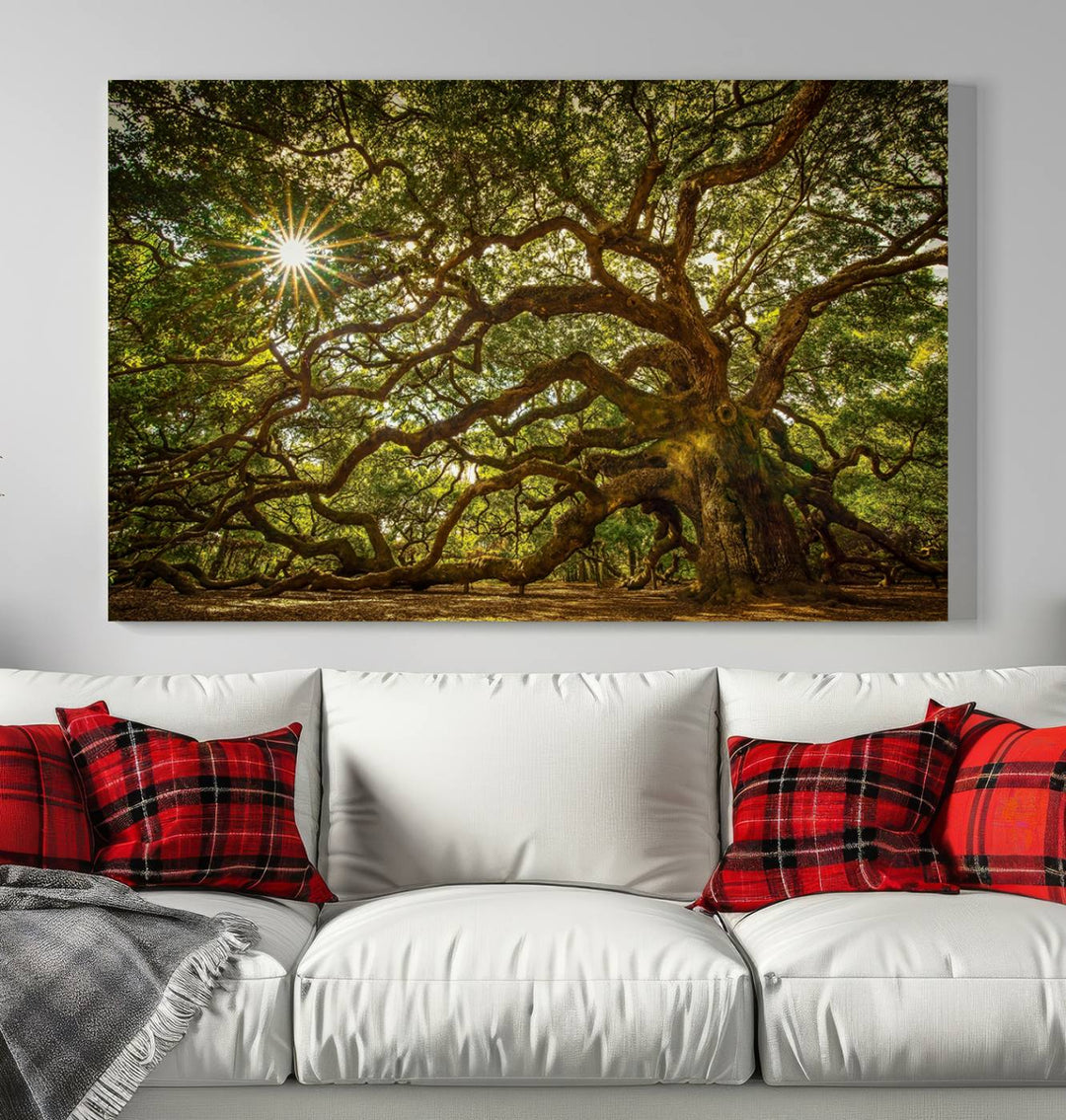 Huge Angel Oak Tree Wall Art Canvas Print, Oak Canvas Wall Decor Nature Fine Art Print Set of 3 Framed