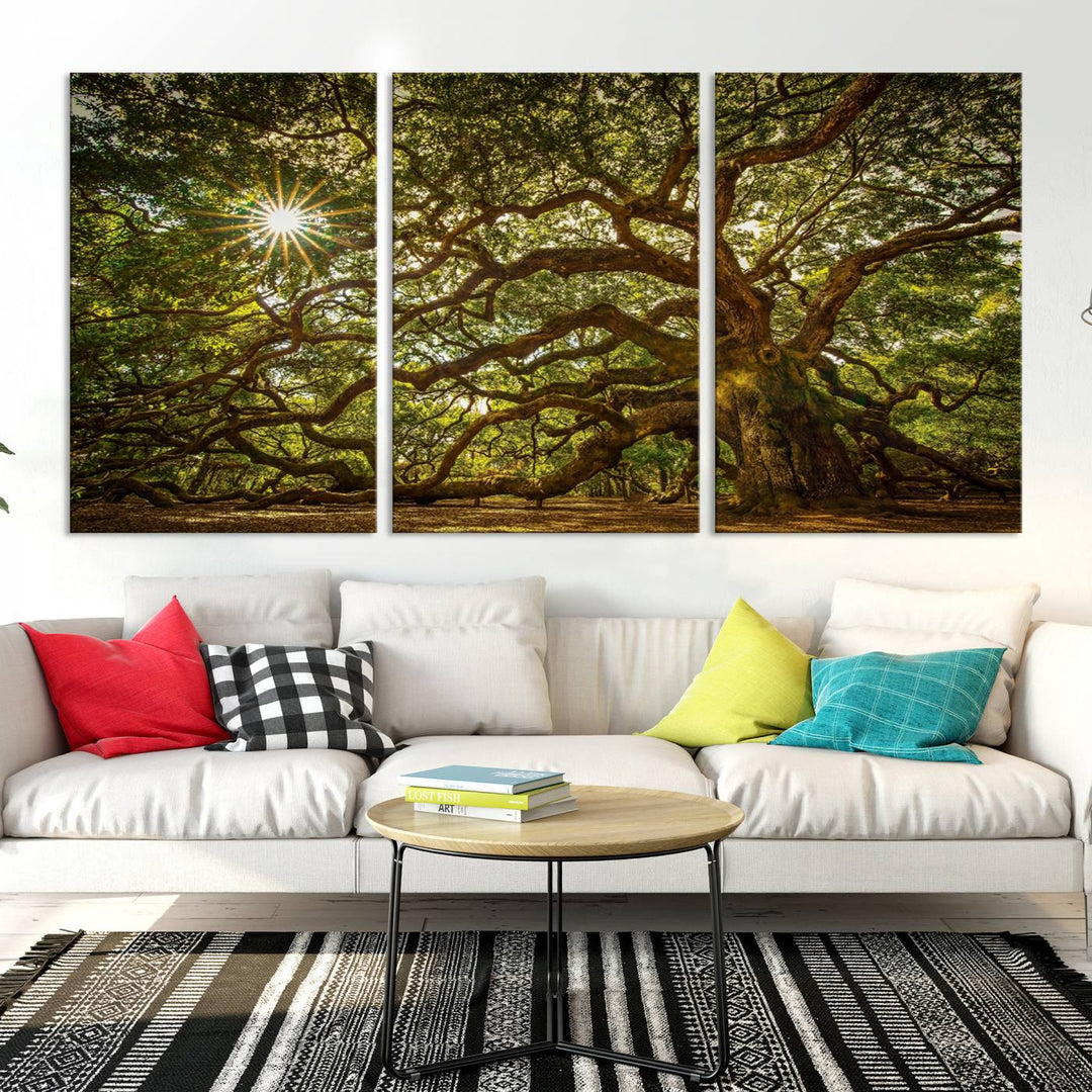 Huge Angel Oak Tree Wall Art Canvas Print, Oak Canvas Wall Decor Nature Fine Art Print Set of 3 Framed