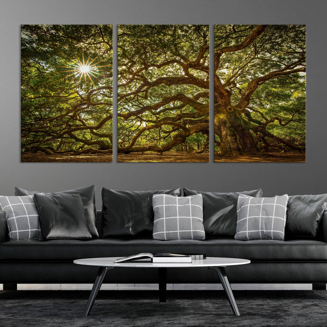 Huge Angel Oak Tree Wall Art Canvas Print, Oak Canvas Wall Decor Nature Fine Art Print Set of 3 Framed