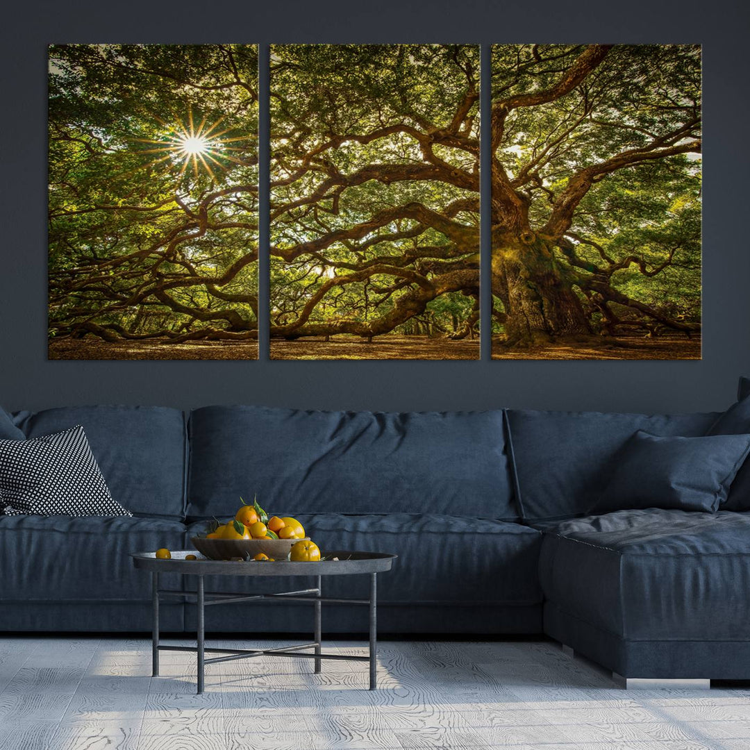 Huge Angel Oak Tree Wall Art Canvas Print, Oak Canvas Wall Decor Nature Fine Art Print Set of 3 Framed