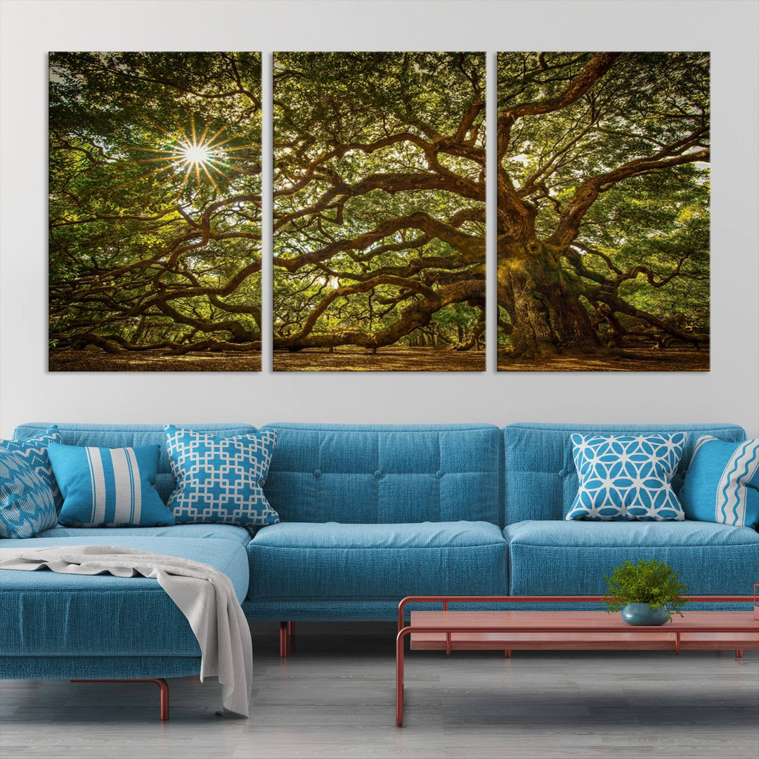 Huge Angel Oak Tree Wall Art Canvas Print, Oak Canvas Wall Decor Nature Fine Art Print Set of 3 Framed