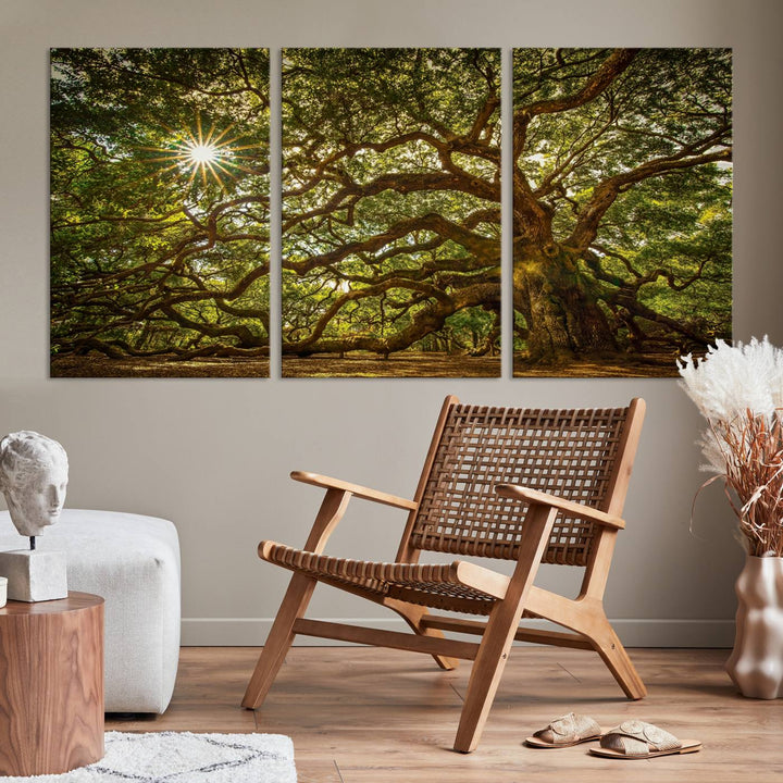 Huge Angel Oak Tree Wall Art Canvas Print, Oak Canvas Wall Decor Nature Fine Art Print Set of 3 Framed