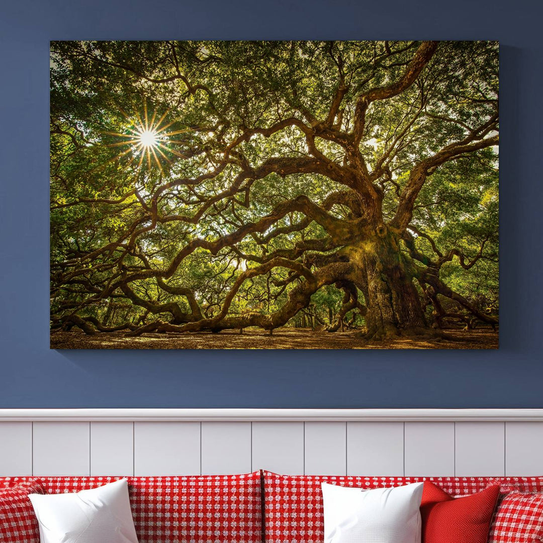 Huge Angel Oak Tree Wall Art Canvas Print, Oak Canvas Wall Decor Nature Fine Art Print Set of 3 Framed