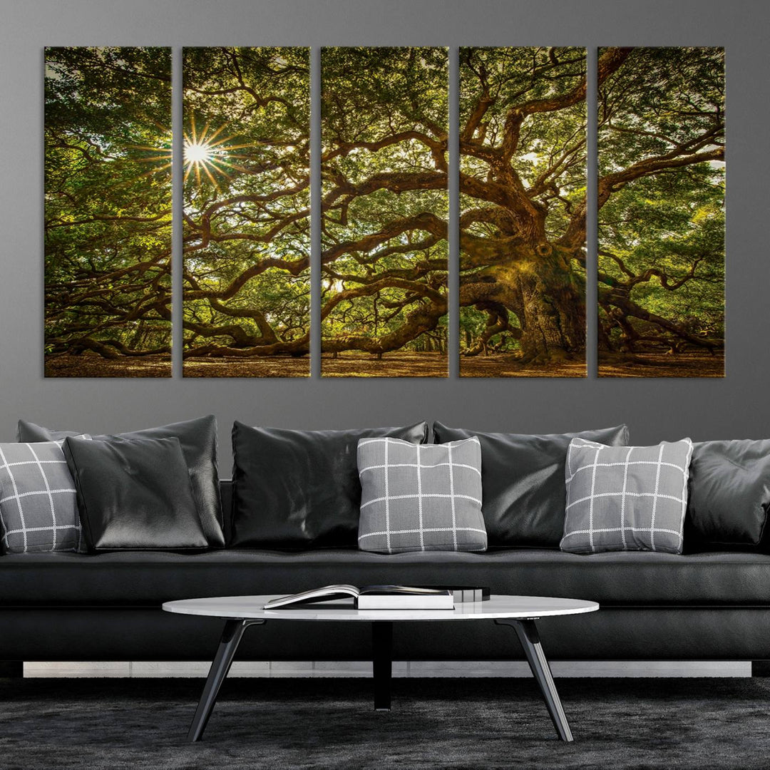 Huge Angel Oak Tree Wall Art Canvas Print, Oak Canvas Wall Decor Nature Fine Art Print Set of 3 Framed