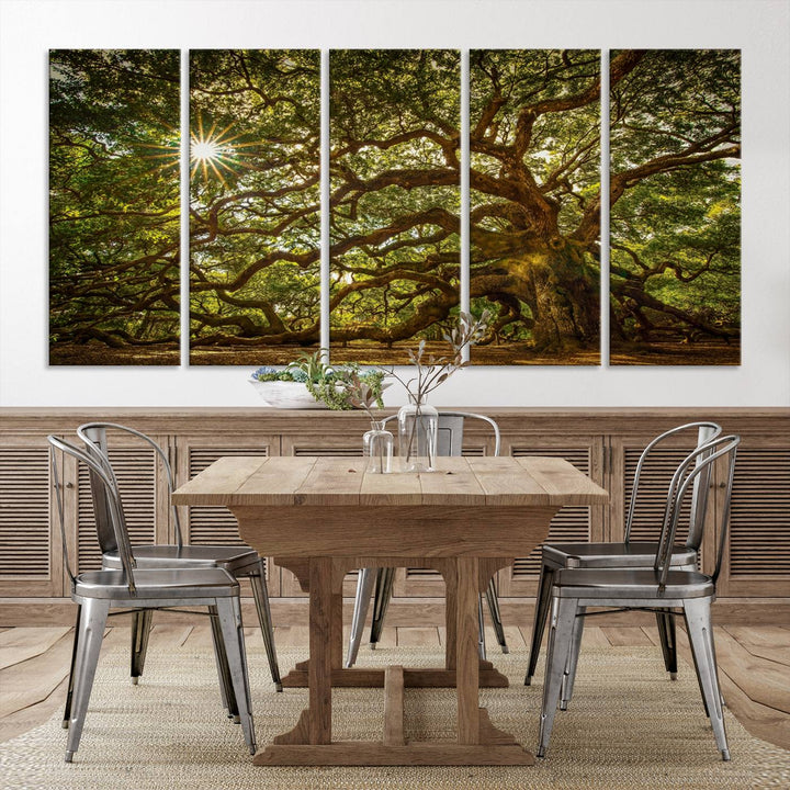 Huge Angel Oak Tree Wall Art Canvas Print, Oak Canvas Wall Decor Nature Fine Art Print Set of 3 Framed