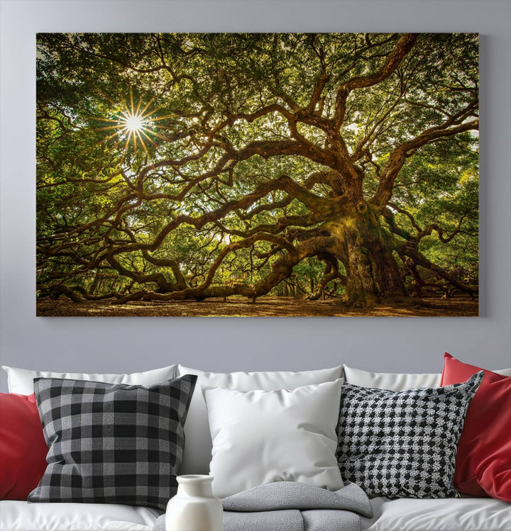 Huge Angel Oak Tree Wall Art Canvas Print, Oak Canvas Wall Decor Nature Fine Art Print Set of 3 Framed