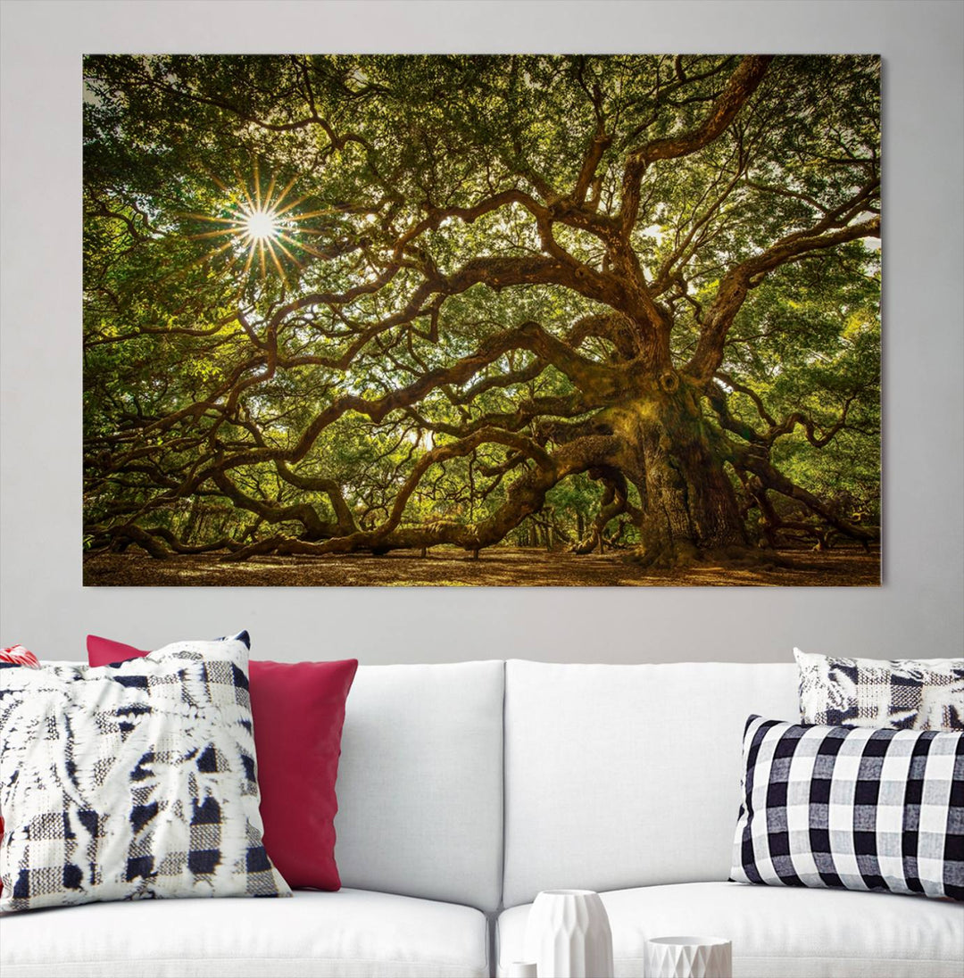 Huge Angel Oak Tree Wall Art Canvas Print, Oak Canvas Wall Decor Nature Fine Art Print Set of 3 Framed