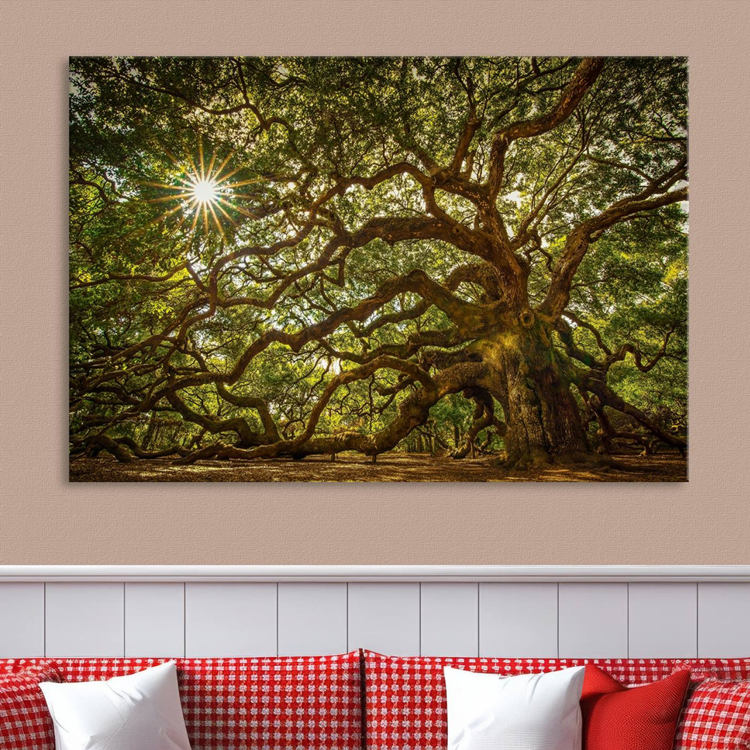 Huge Angel Oak Tree Wall Art Canvas Print, Oak Canvas Wall Decor Nature Fine Art Print Set of 3 Framed