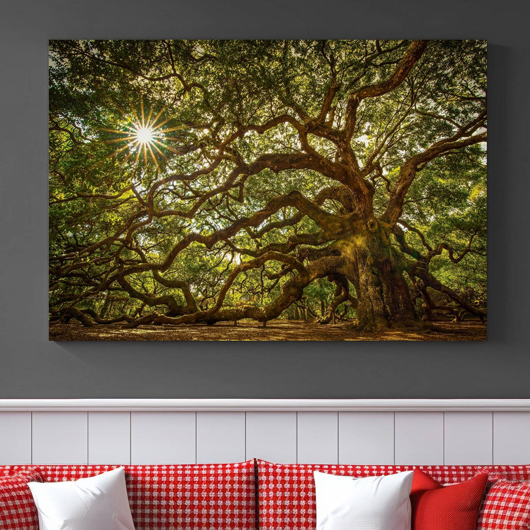 Huge Angel Oak Tree Wall Art Canvas Print, Oak Canvas Wall Decor Nature Fine Art Print Set of 3 Framed