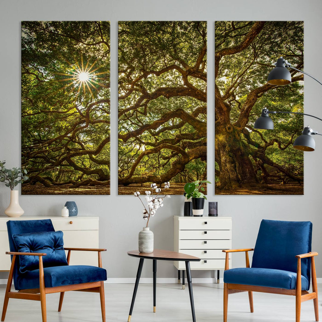 Huge Angel Oak Tree Wall Art Canvas Print, Oak Canvas Wall Decor Nature Fine Art Print Set of 3 Framed