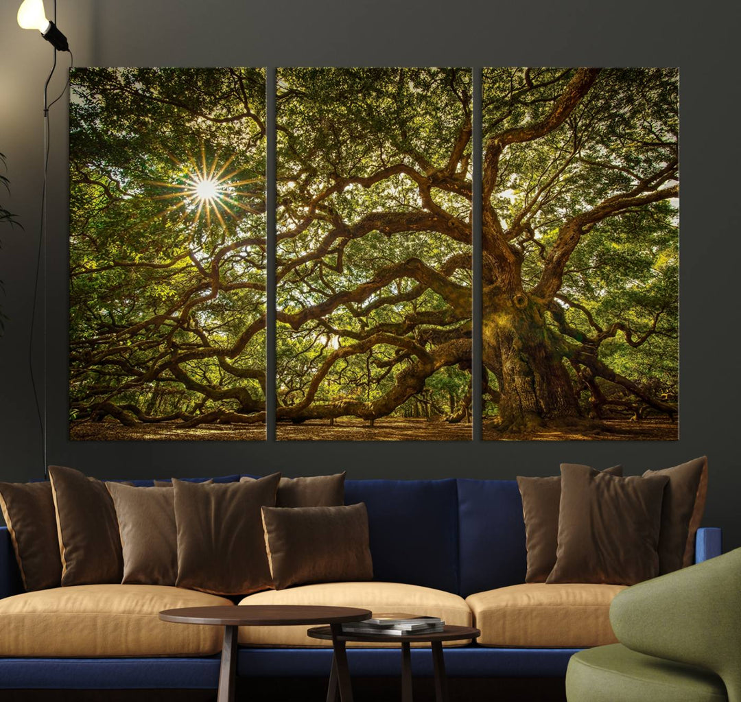 Huge Angel Oak Tree Wall Art Canvas Print, Oak Canvas Wall Decor Nature Fine Art Print Set of 3 Framed