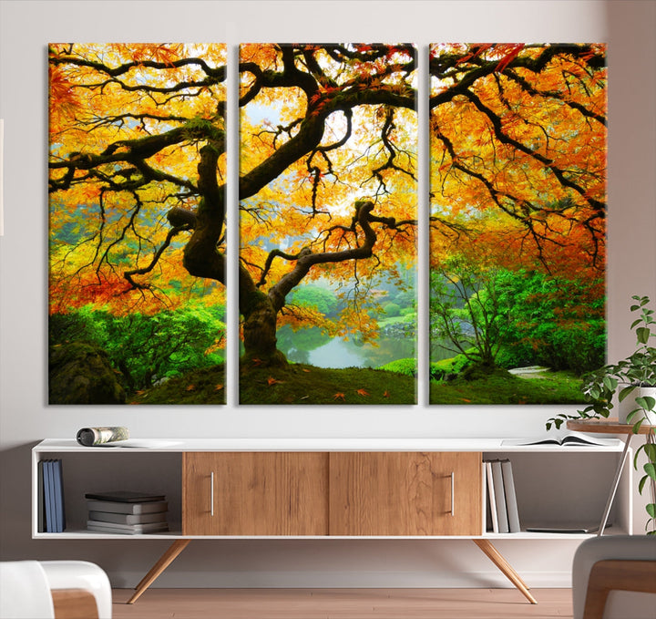 Japanese Maple in Autumn, Japanese Garden, Portland Oregon Fall Large Wall Art Canvas Print