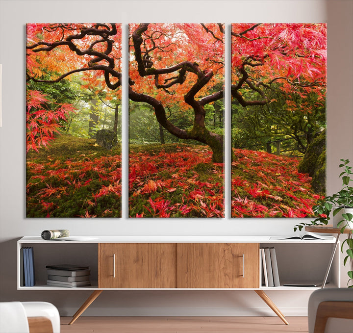 Japanese Maple in Autumn, Japanese Garden, Portland Oregon Japanese Maple Tree Fall Autumn Large Wall Art Canvas Print