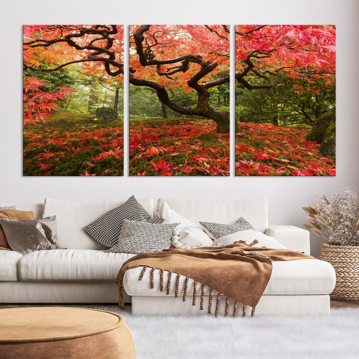 Japanese Maple in Autumn, Japanese Garden, Portland Oregon Japanese Maple Tree Fall Autumn Large Wall Art Canvas Print