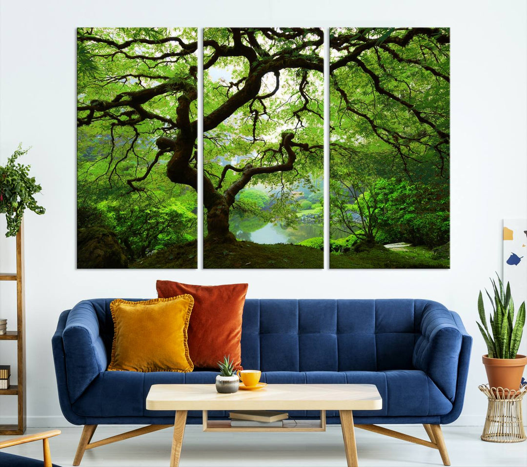 Japanese Maple in Autumn, Japanese Garden, Portland Oregon Large Wall Art Canvas Print