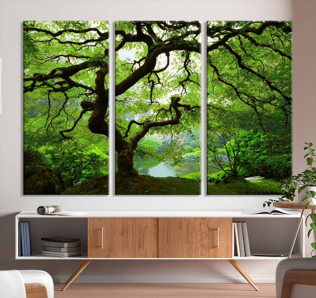 Japanese Maple in Autumn, Japanese Garden, Portland Oregon Large Wall Art Canvas Print