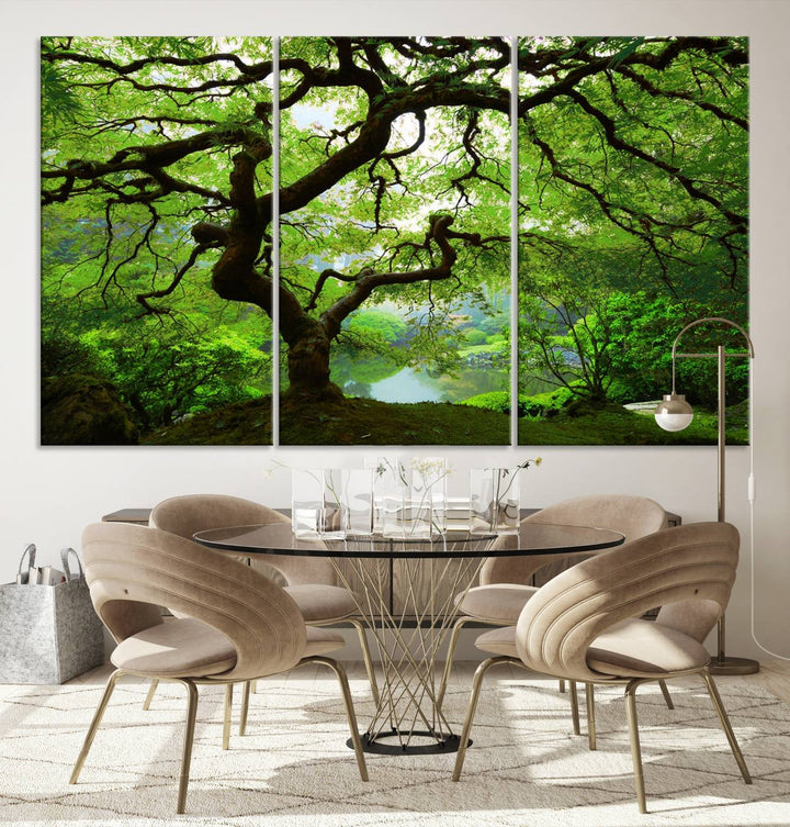 Japanese Maple in Autumn, Japanese Garden, Portland Oregon Large Wall Art Canvas Print