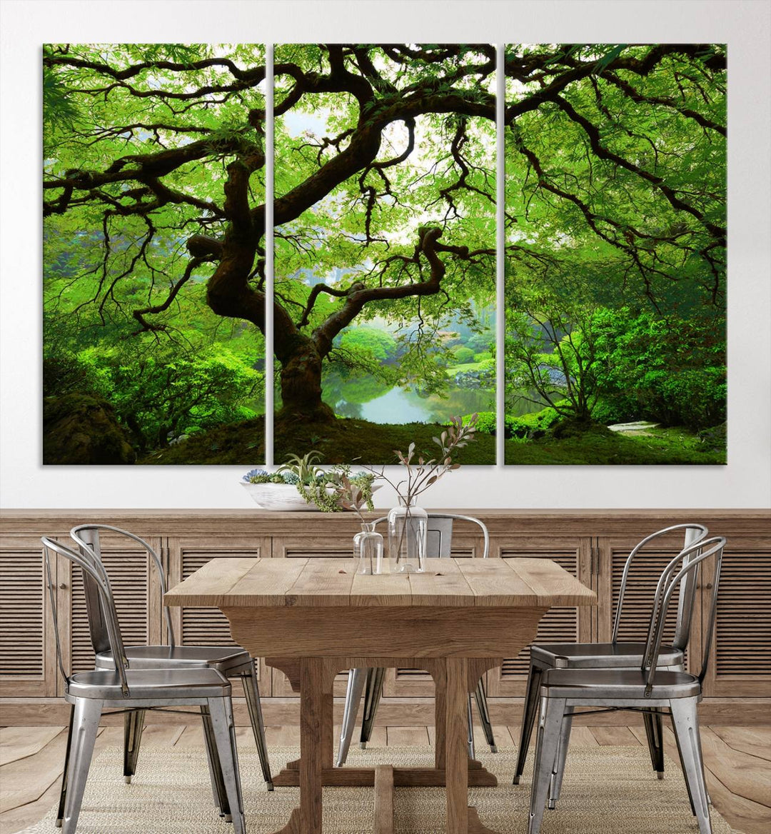 Japanese Maple in Autumn, Japanese Garden, Portland Oregon Large Wall Art Canvas Print