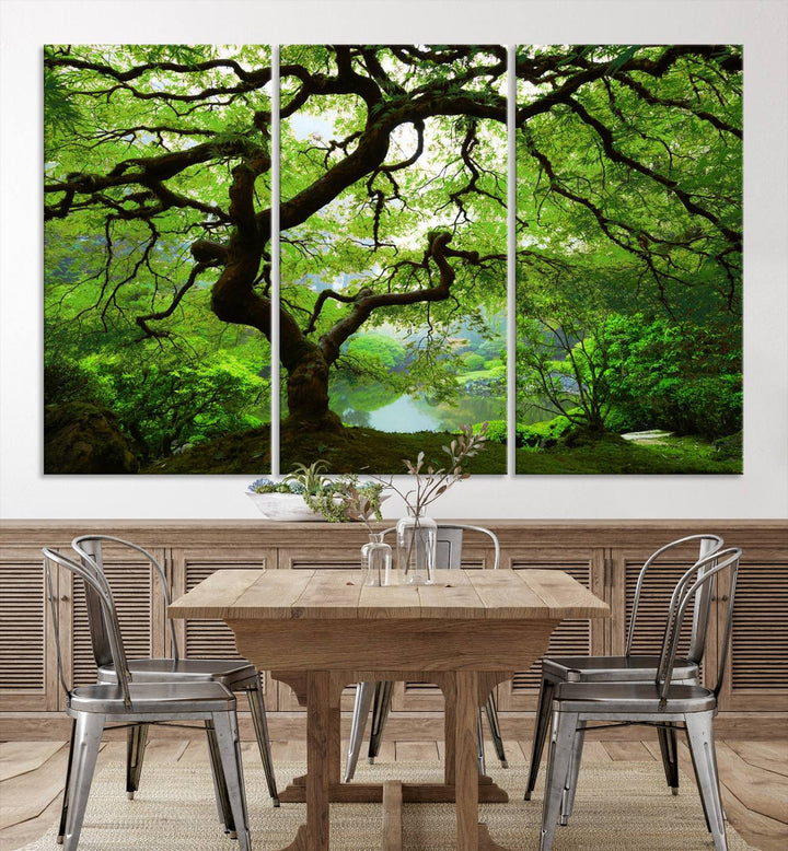 Japanese Maple in Autumn, Japanese Garden, Portland Oregon Large Wall Art Canvas Print