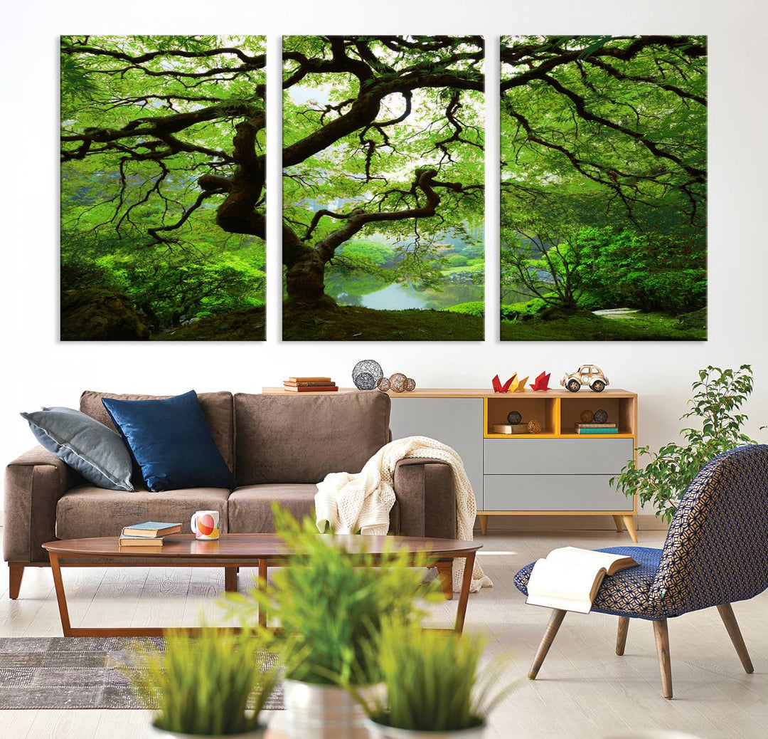 Japanese Maple in Autumn, Japanese Garden, Portland Oregon Large Wall Art Canvas Print