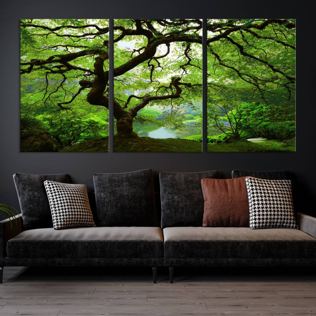 Japanese Maple in Autumn, Japanese Garden, Portland Oregon Large Wall Art Canvas Print