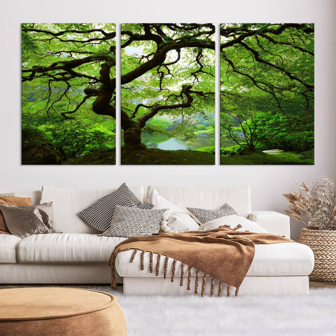 Japanese Maple in Autumn, Japanese Garden, Portland Oregon Large Wall Art Canvas Print