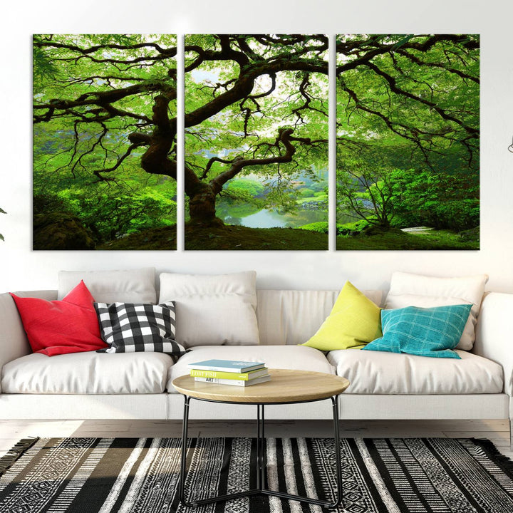 Japanese Maple in Autumn, Japanese Garden, Portland Oregon Large Wall Art Canvas Print