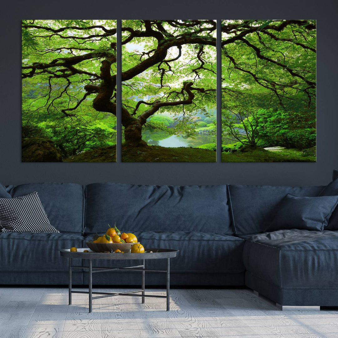 Japanese Maple in Autumn, Japanese Garden, Portland Oregon Large Wall Art Canvas Print