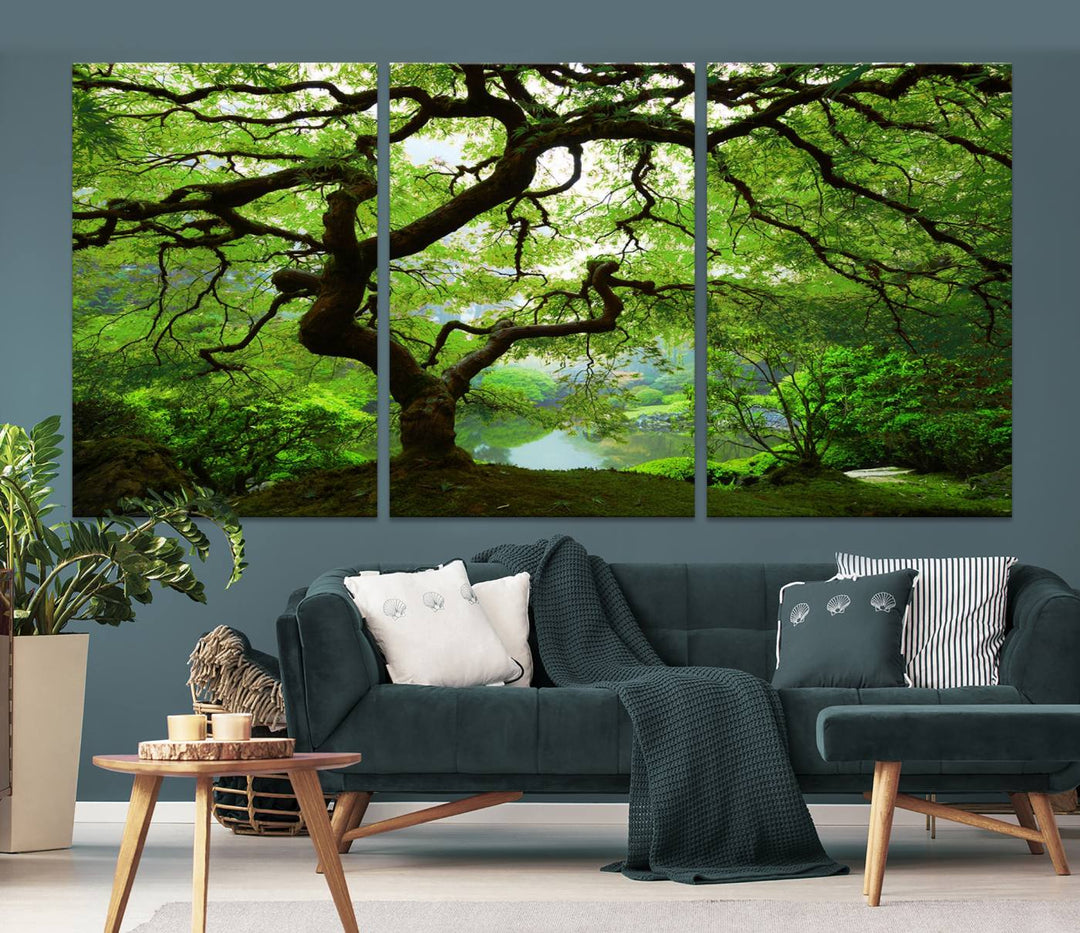 Japanese Maple in Autumn, Japanese Garden, Portland Oregon Large Wall Art Canvas Print