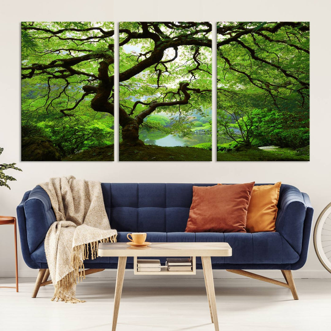 Japanese Maple in Autumn, Japanese Garden, Portland Oregon Large Wall Art Canvas Print