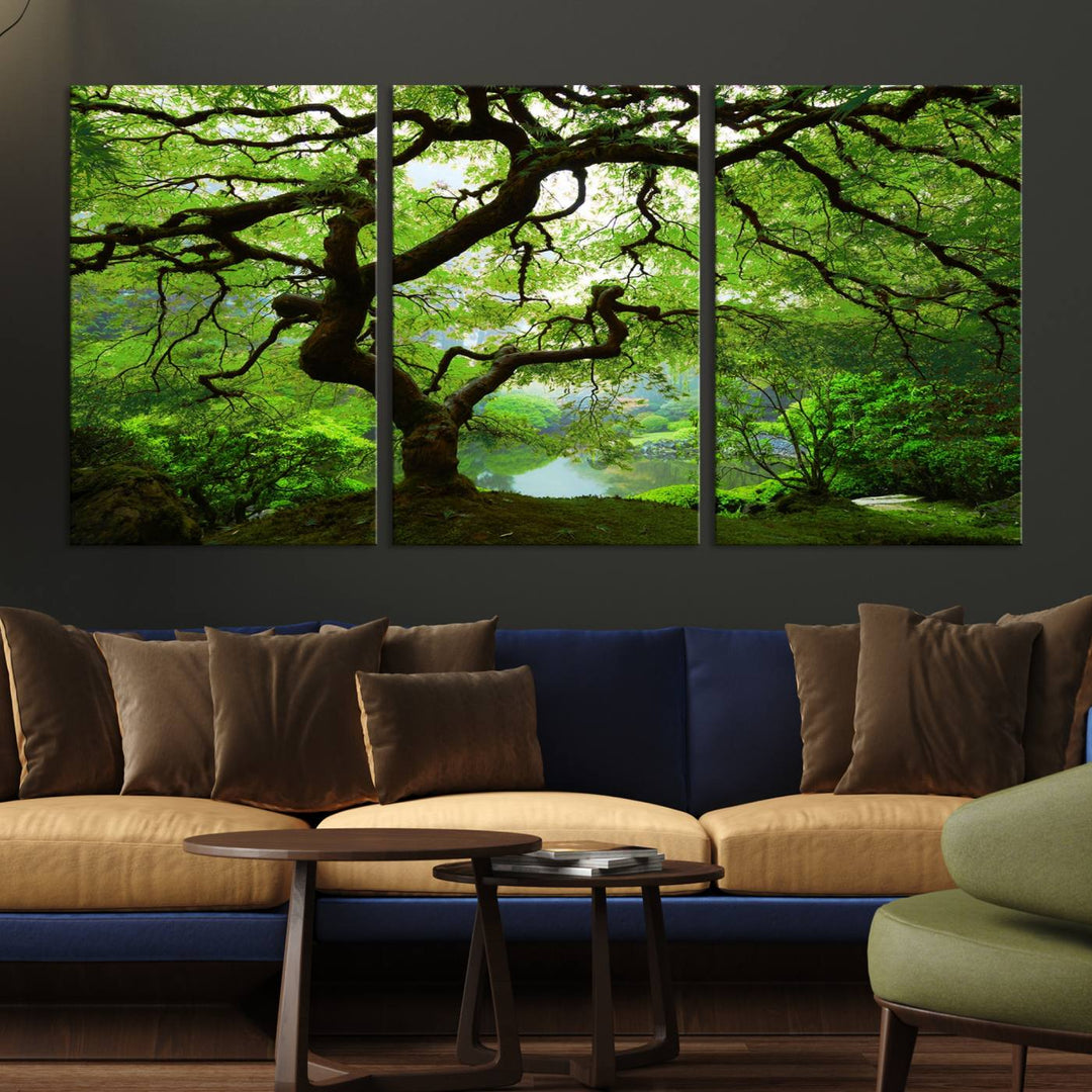 Japanese Maple in Autumn, Japanese Garden, Portland Oregon Large Wall Art Canvas Print