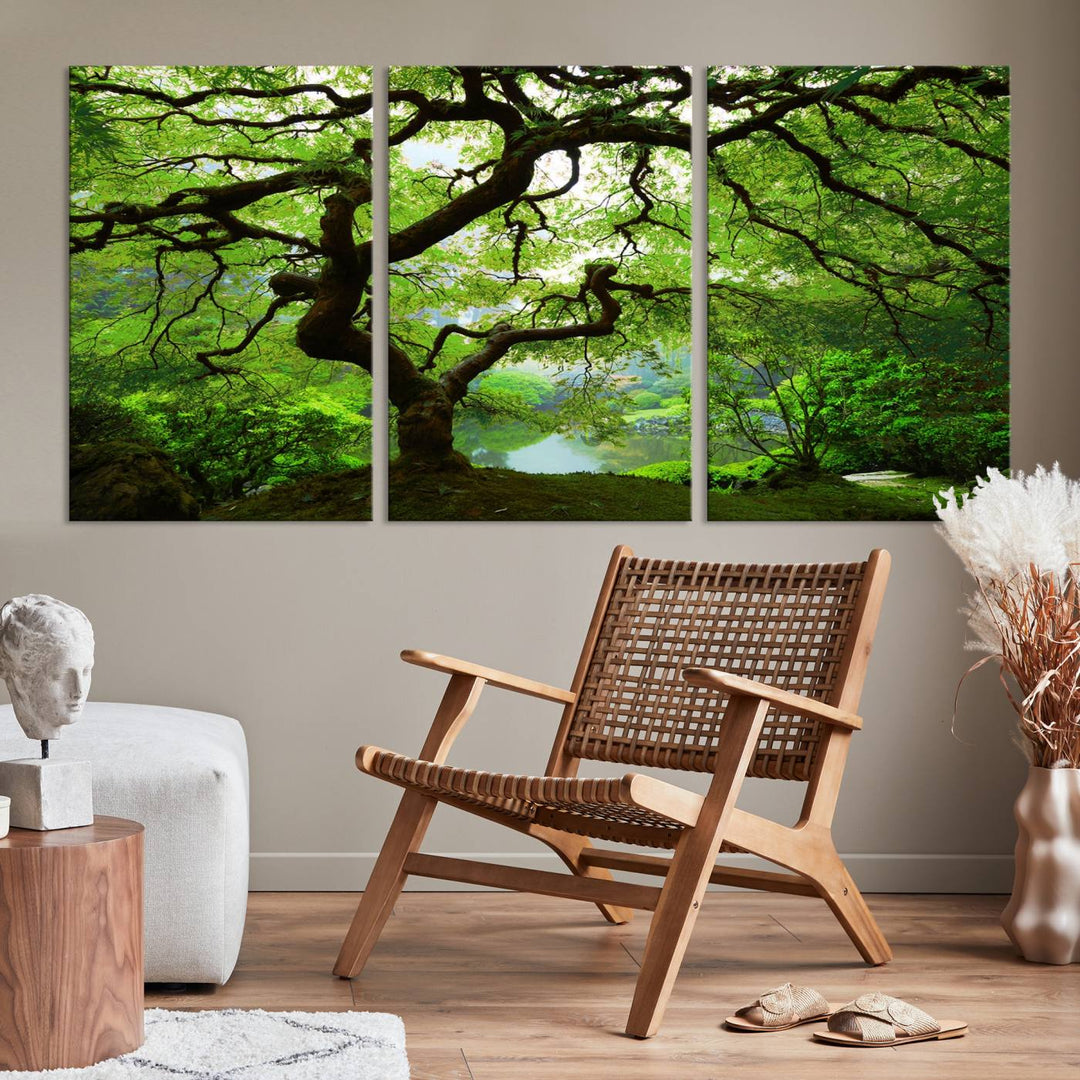 Japanese Maple in Autumn, Japanese Garden, Portland Oregon Large Wall Art Canvas Print