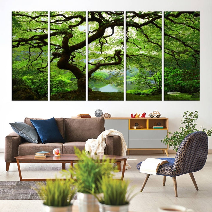 Japanese Maple in Autumn, Japanese Garden, Portland Oregon Large Wall Art Canvas Print