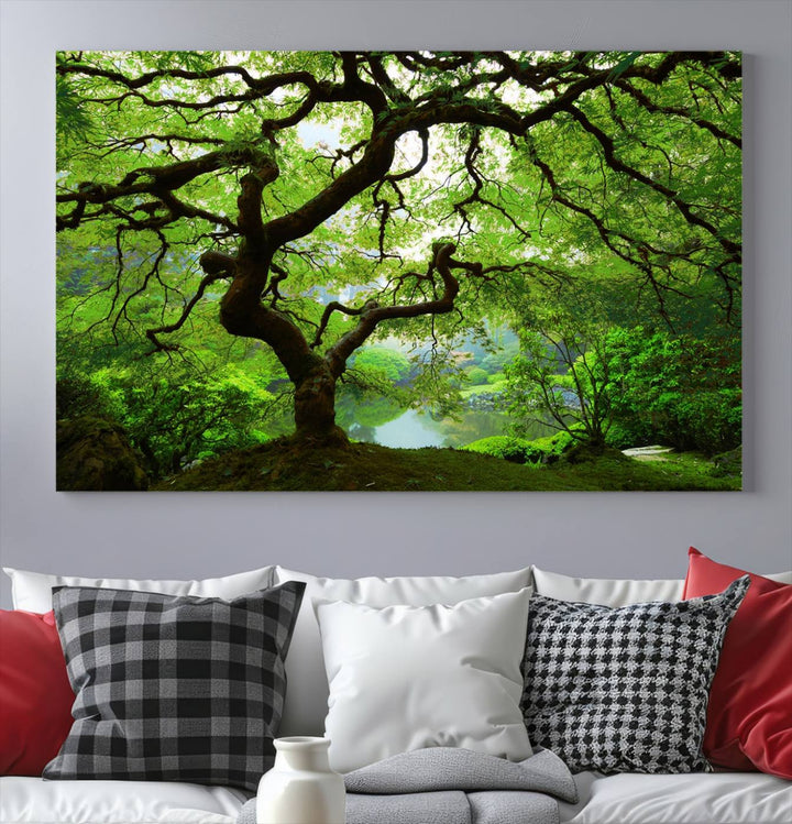 Japanese Maple in Autumn, Japanese Garden, Portland Oregon Large Wall Art Canvas Print