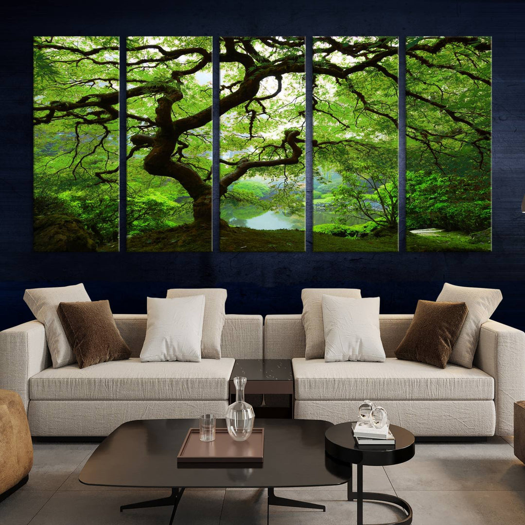 Japanese Maple in Autumn, Japanese Garden, Portland Oregon Large Wall Art Canvas Print