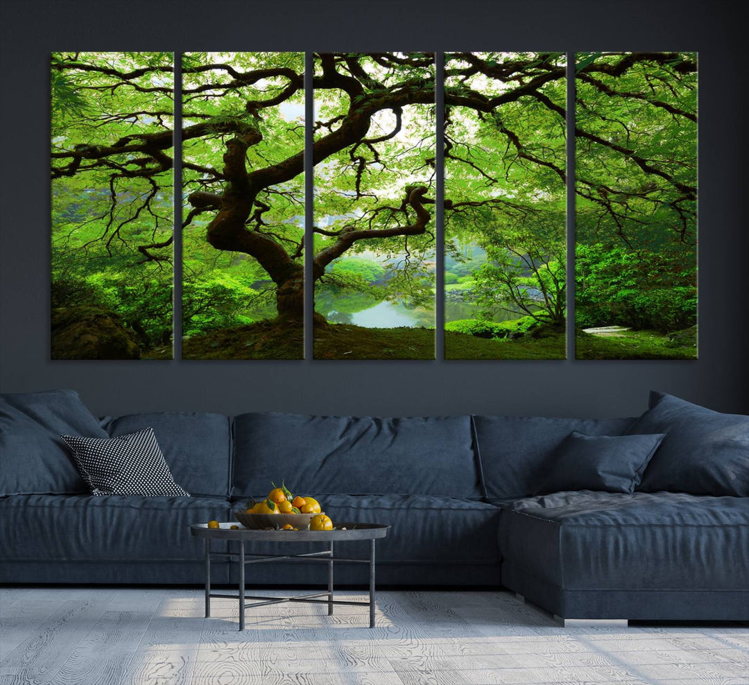 Japanese Maple in Autumn, Japanese Garden, Portland Oregon Large Wall Art Canvas Print