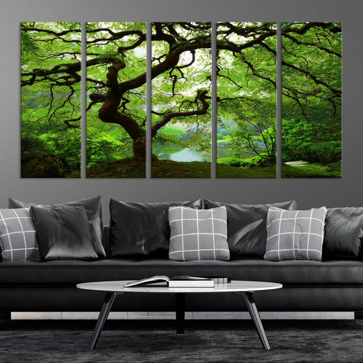 Japanese Maple in Autumn, Japanese Garden, Portland Oregon Large Wall Art Canvas Print