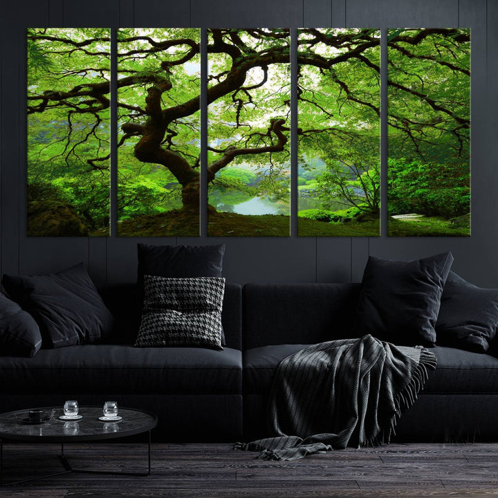 Japanese Maple in Autumn, Japanese Garden, Portland Oregon Large Wall Art Canvas Print