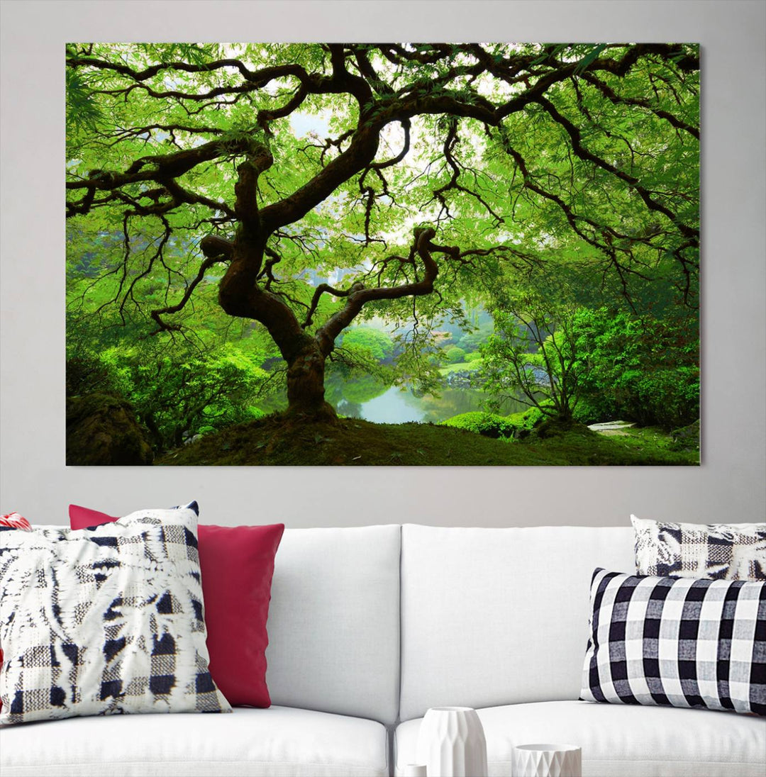 Japanese Maple in Autumn, Japanese Garden, Portland Oregon Large Wall Art Canvas Print