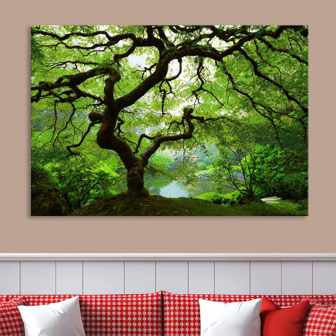 Japanese Maple in Autumn, Japanese Garden, Portland Oregon Large Wall Art Canvas Print