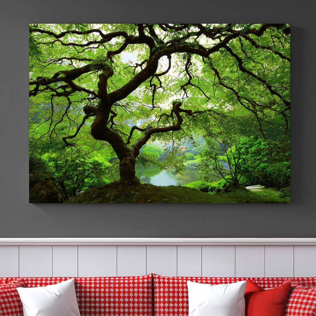 Japanese Maple in Autumn, Japanese Garden, Portland Oregon Large Wall Art Canvas Print